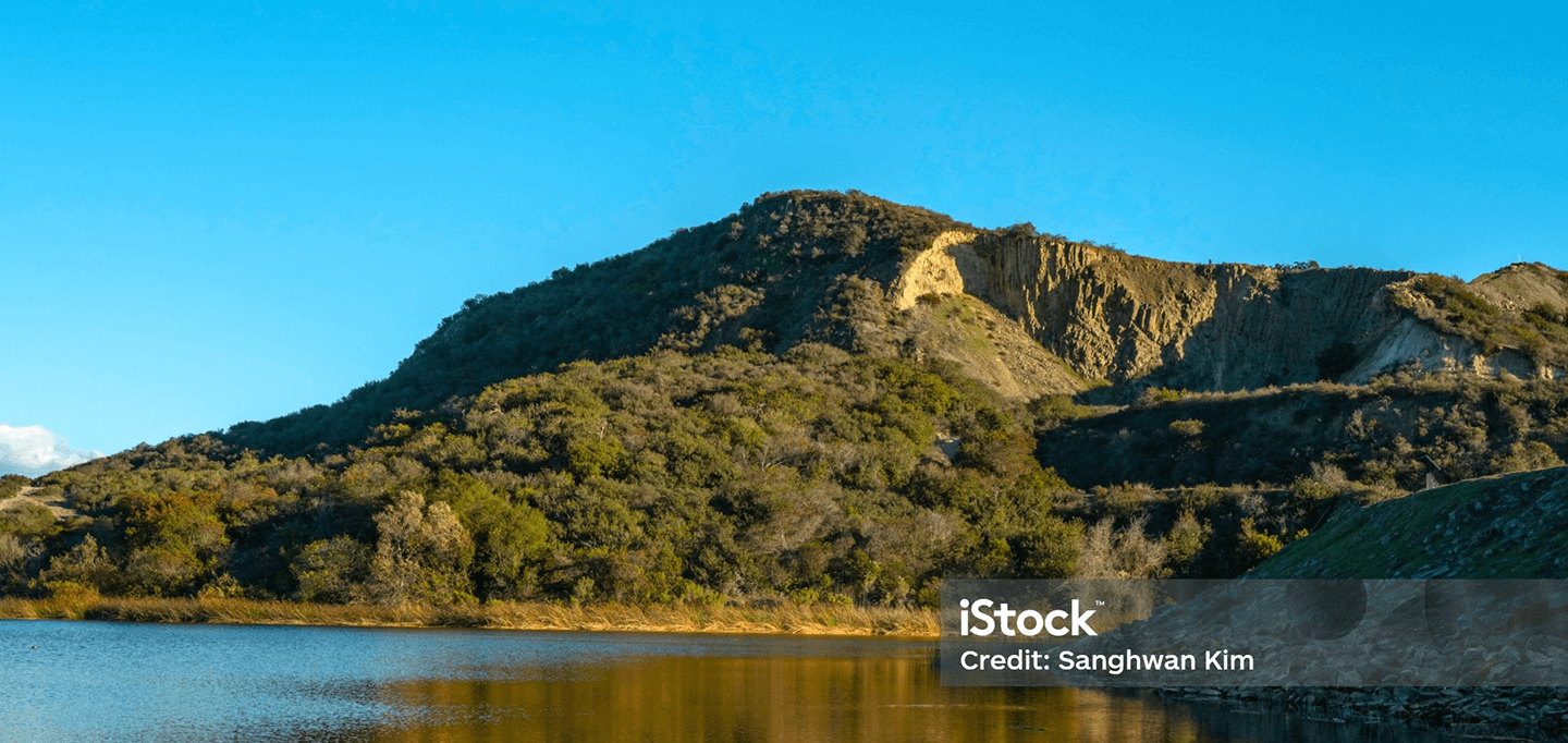 Rectangle 12846 (2) (1)